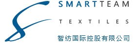 智雲国际控股有限公司
